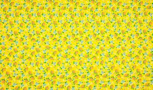 Popelin Druck Blumen